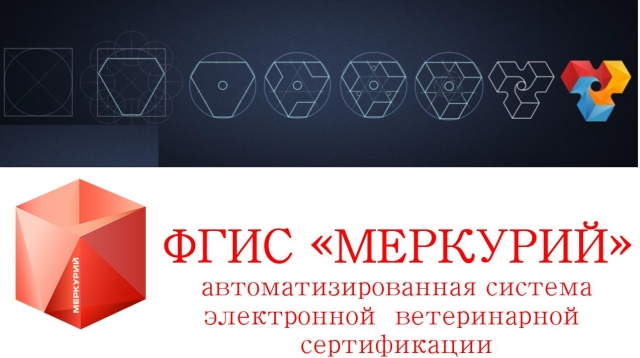 В администрации Рузского городского округа напомнили о необходимости использования системы «Меркурий»