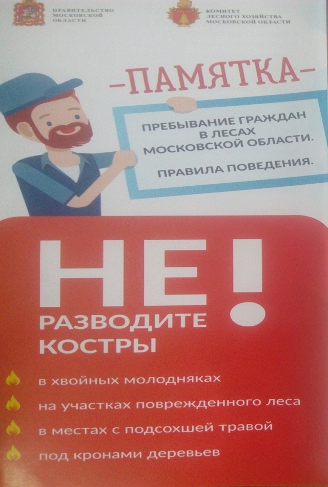 Лесничие Рузского участкового лесничества призывали жителей и гостей округа быть предельно осторожными с огнем на природе