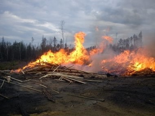 Сотрудники администрации Рузского городского округа держат на контроле законность работ на пилорамах