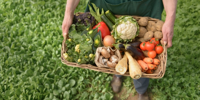 Объем средств от продажи продукции, выращенной на селе, в Рузском городском округе вырос на 25%