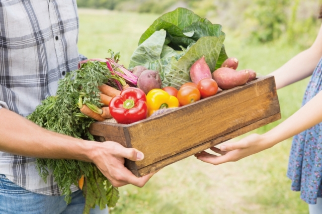 Объем средств от продажи продукции, выращенной на селе, в Рузском городском округе составил 12,5 миллиардов рублей