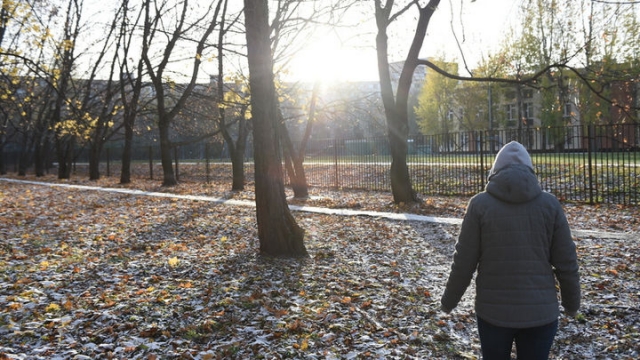 Слабый снег и облачная погода ожидаются в Московском регионе в течение недели