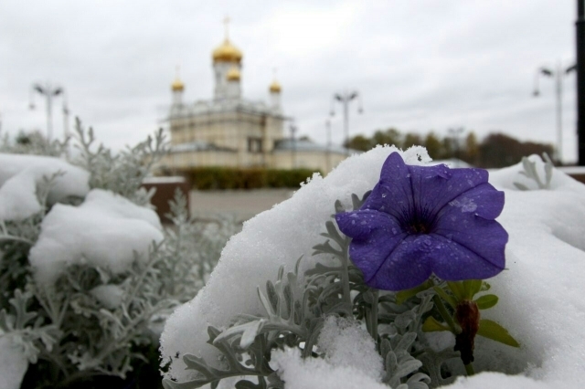 Территориальное общественное самоуправление создано в Рузском округе