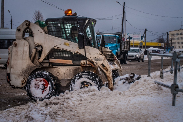 Месячная норма осадков выпала в Рузском районе за сутки