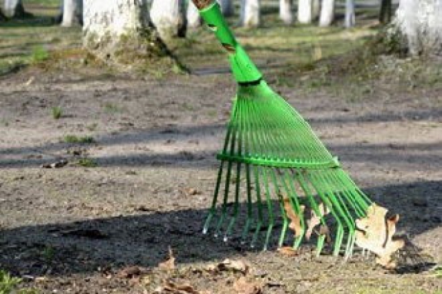 Субботник пройдет в Московской области 23 апреля