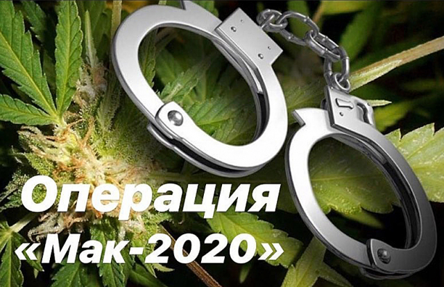 В Рузском округе пройдет операция «Мак»