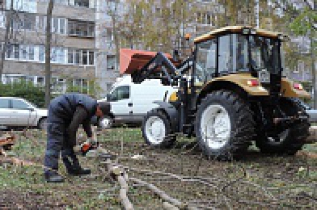 По поручению Витушевой на берегу Репинки наведен порядок