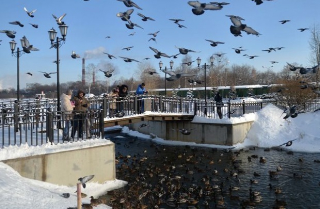 Вместе лучше. Создание городских округов дало импульс развитию Подмосковья - АиФ