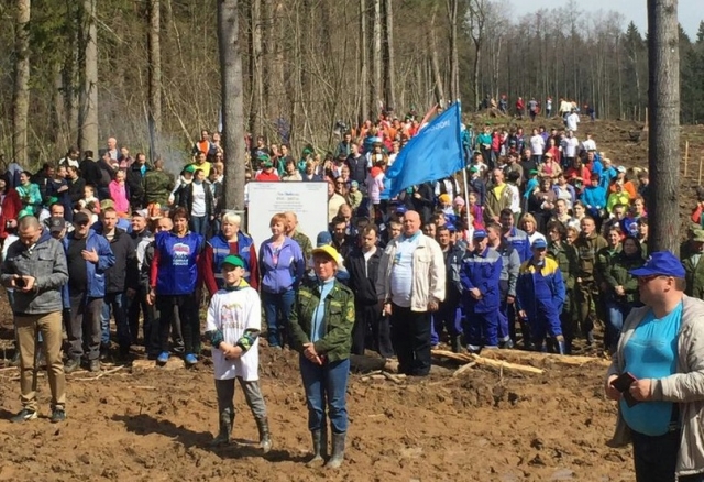 В Рузском округе высадили «Лес Победы»