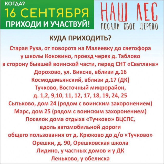 Более 36 тысяч сеянцев сосны высадят в Рузском городском округе в рамках акции «Наш лес. Посади свое дерево»