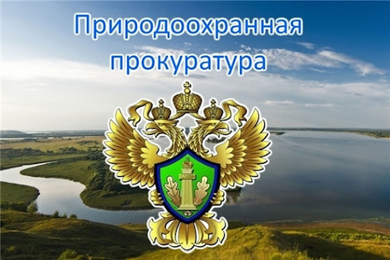 В Рузском округе проверили соблюдение законодательства об охране водных объектов