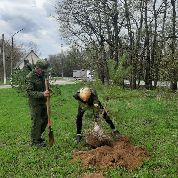 Космодемьянским школьникам рассказали о посадке хвойных деревьев