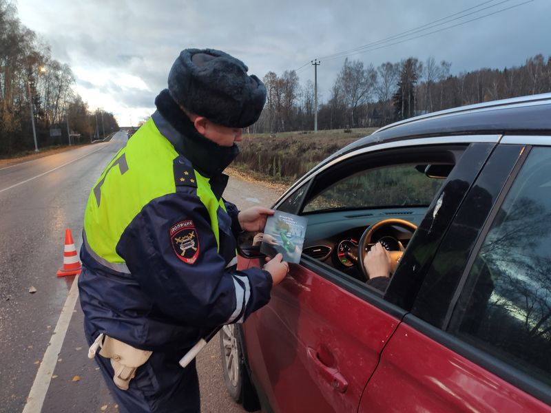 В Рузском округе прошел профилактический рейд