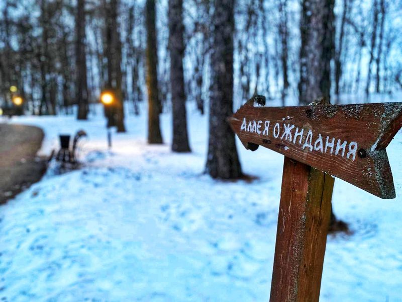 Ружан приглашают в парк «Городок»