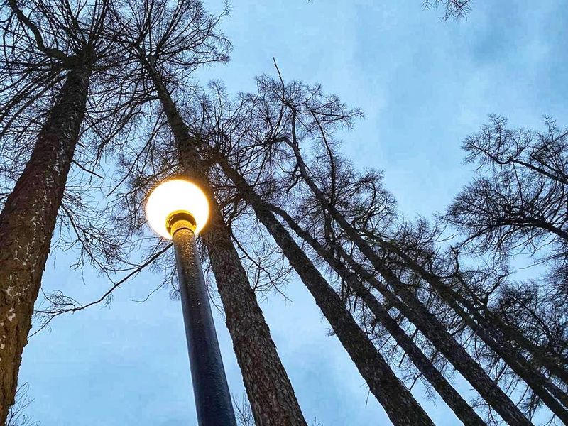 На Городке пройдет экологическая акция