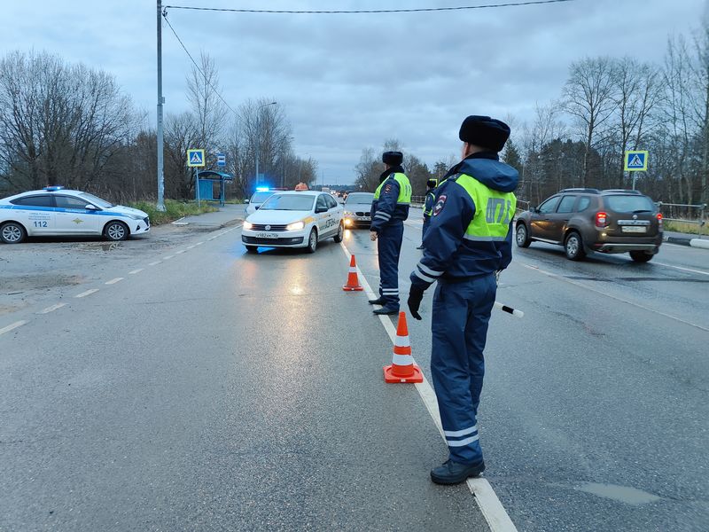 В Рузском округе проводятся профилактические мероприятия