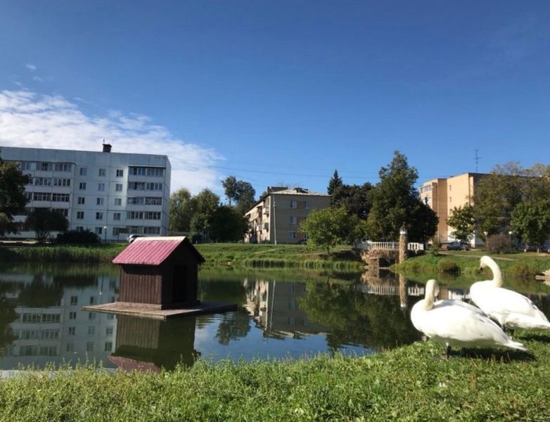 В Рузе обсудят благоустройство Георгиевского пруда