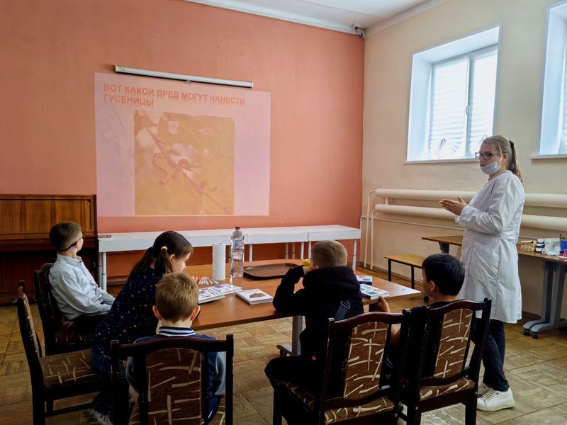 В Рузской библиотеке изучали гусениц