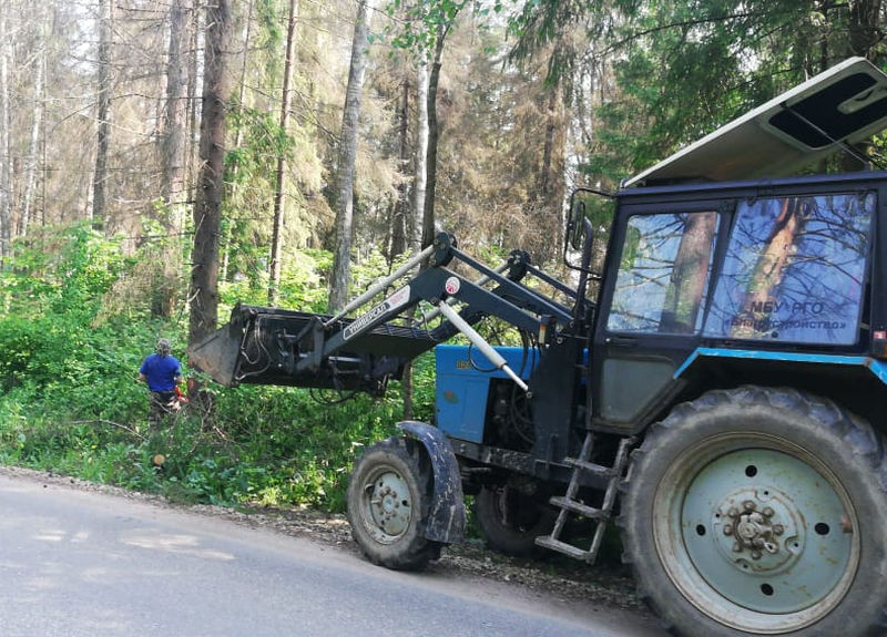 В Рузском округе кронируют деревья