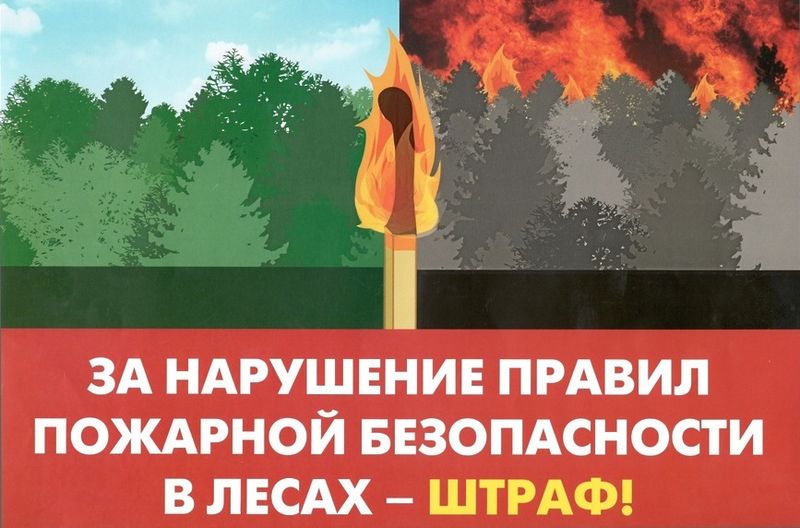 Ружан призывают соблюдать правила противопожарной безопасности в лесу