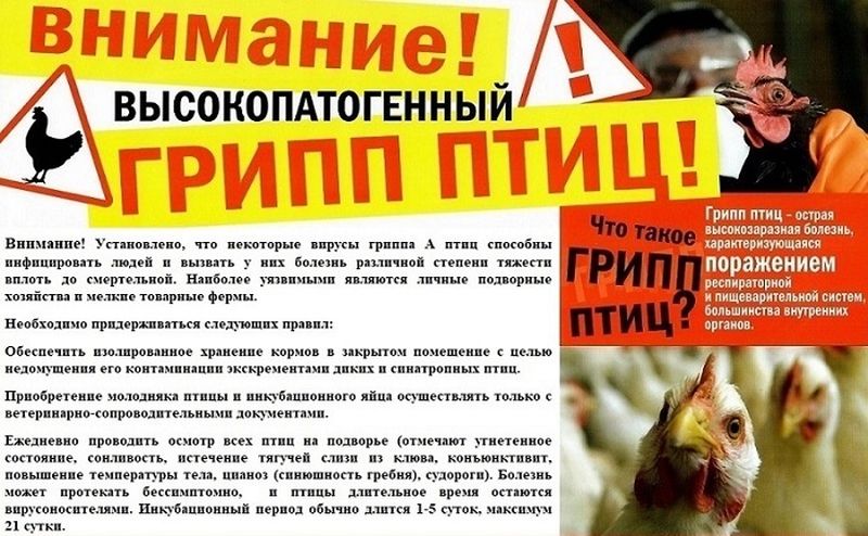 О проведении месячника по обеспечению биологической защиты объектов птицеводства на территории Московской области