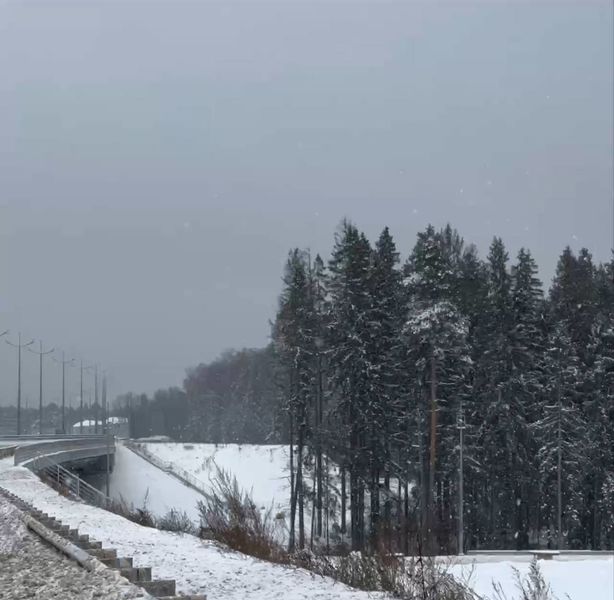 Погодные условия в Московской области требуют предельной внимательности на дорогах 