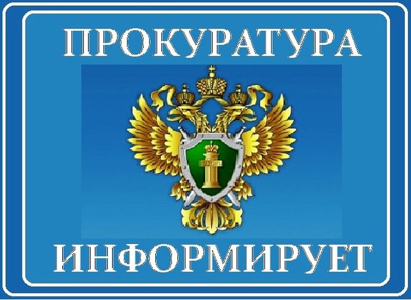 Рузская городская прокуратура обеспечивает безопасность детей!